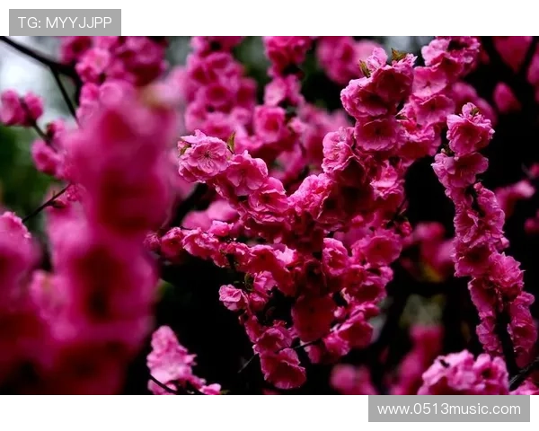 万绿丛中一点红 唐嘉雯奋力破门助力球队胜利在望