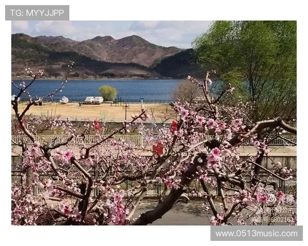 奥斯卡回忆疫情期间差点加盟巴萨愿意低薪为球队效力六个月